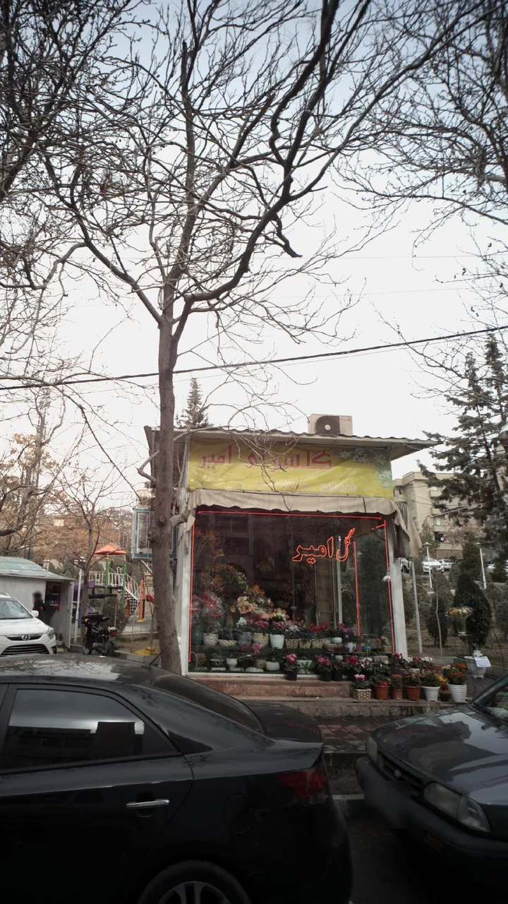 گلسرای امیر - تصویر 3