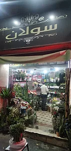 گل فروشی سولان