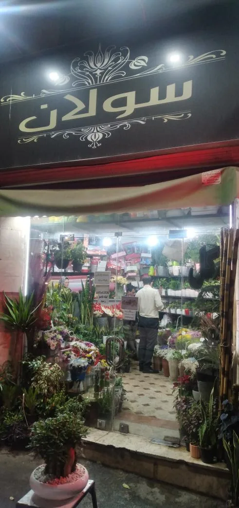 گل فروشی سولان
