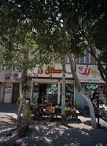 گل رز
