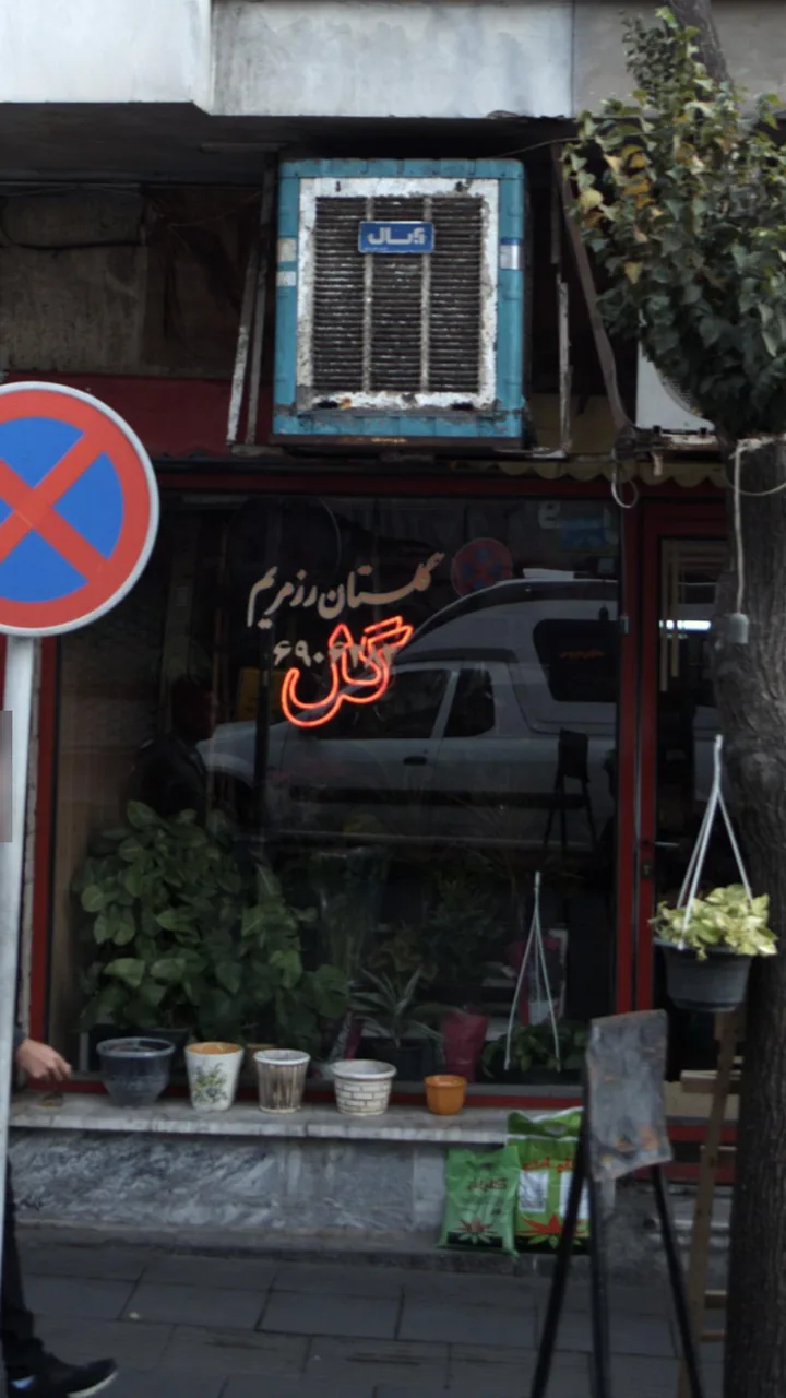 گلستان رز مریم - تصویر 2