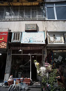 گلستان رز