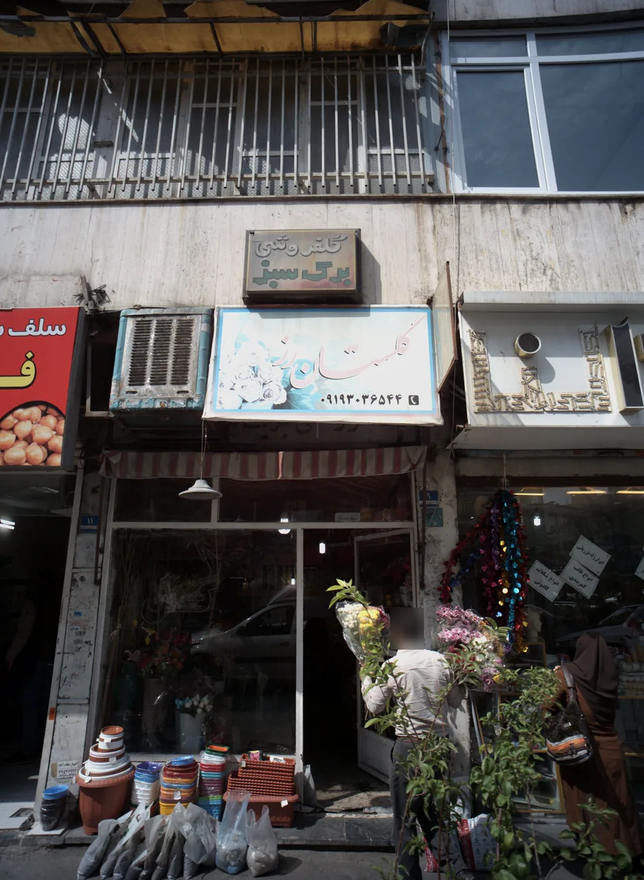 گلستان رز
