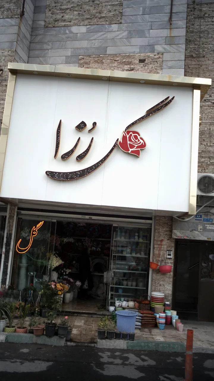 گل رُزا
