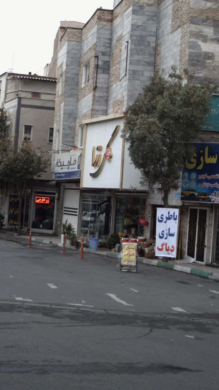 گل رُزا - تصویر 2
