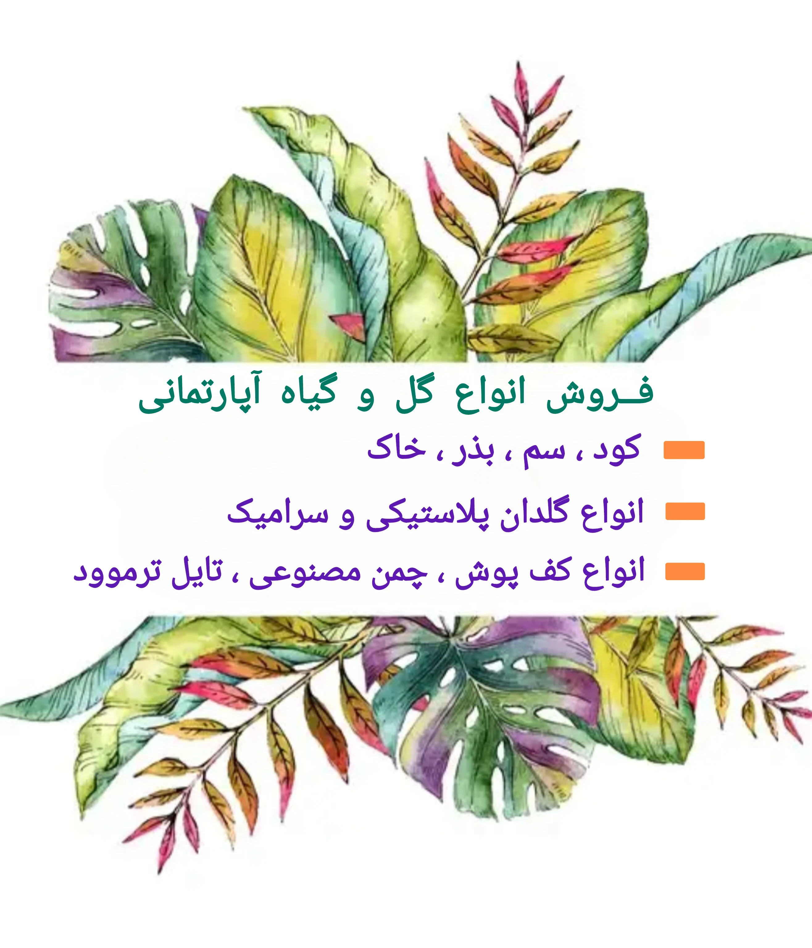 صدرا گل - تصویر 2