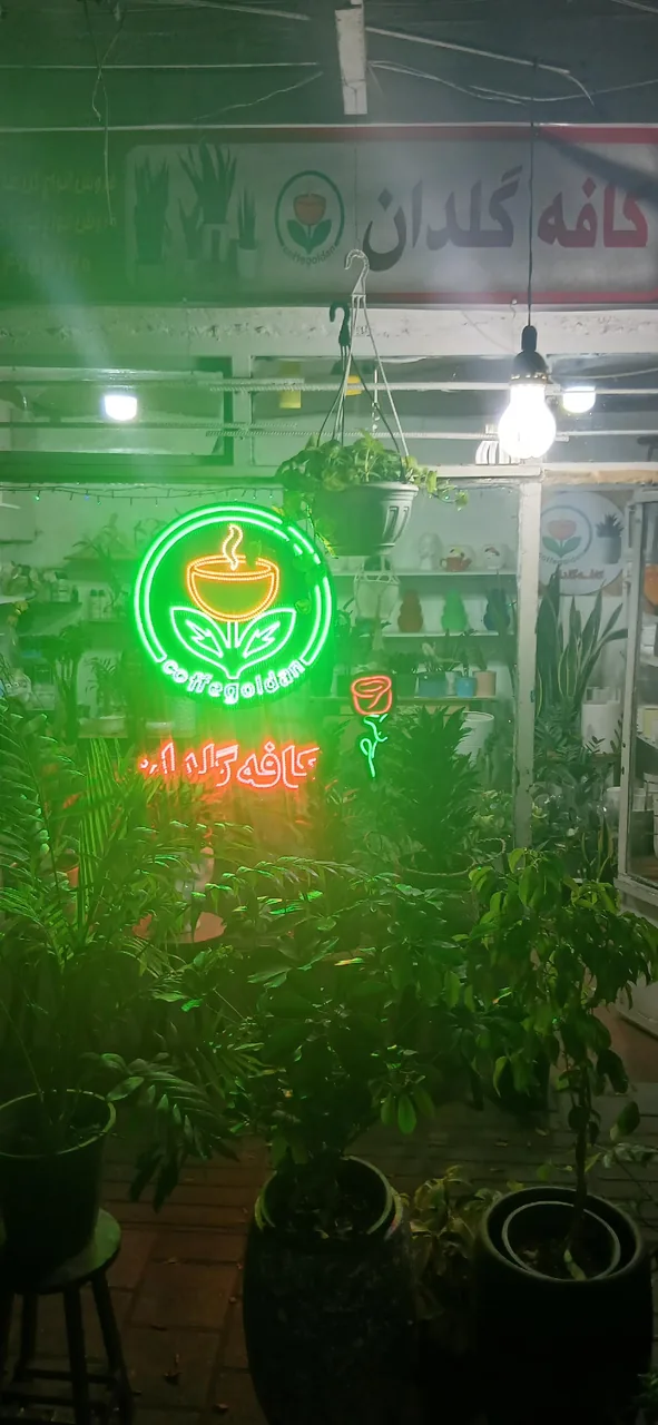 کافه گلدان - تصویر 2