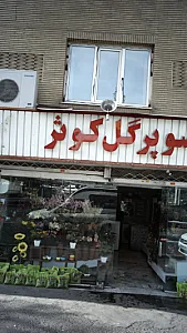 سوپرگل کوثر
