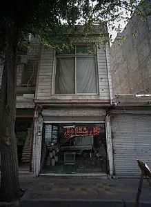 گل شقایق