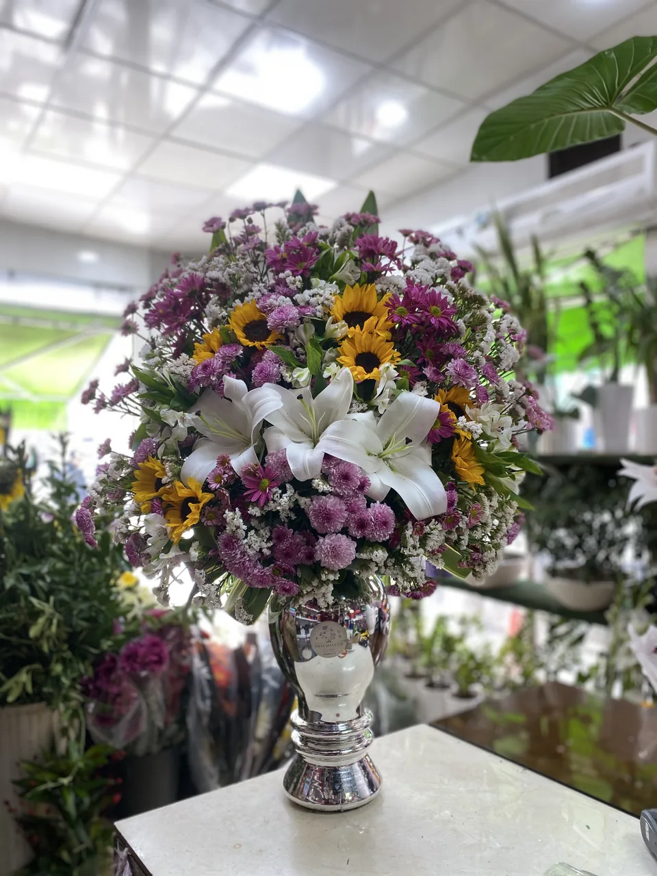 گلکده شقایق - تصویر 7