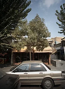 فروشگاه گل و گلدان