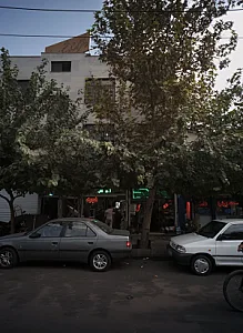 گل فروشی شهلا