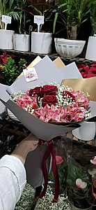 گلسرای ابی گل