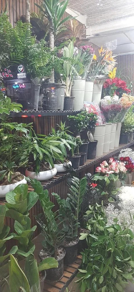 گلسرای ابی گل - تصویر 2