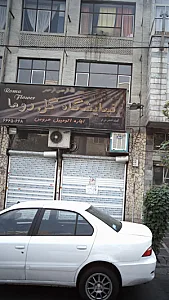 گل روما