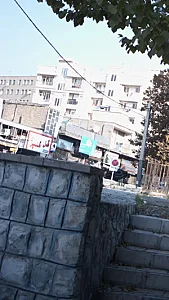 گل گلپر
