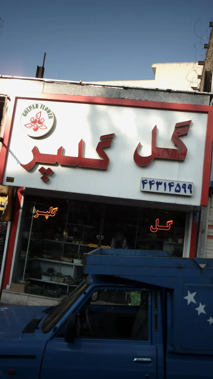 گل گلپر - تصویر 2