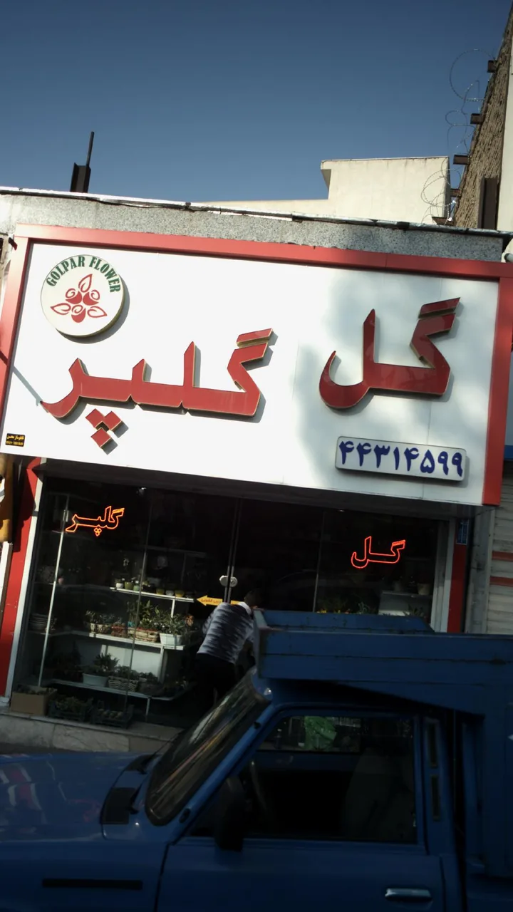 گل گلپر - تصویر 3