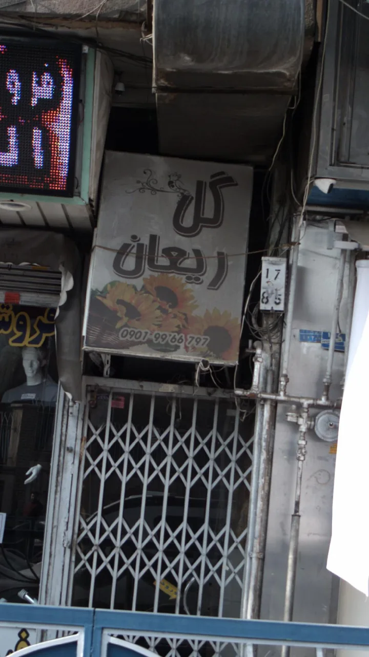 گل ریعان