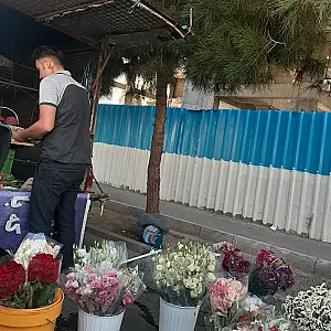 گل تارومی