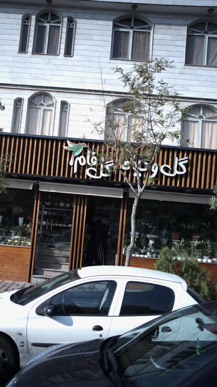 گل ویلای گل فام - تصویر 2