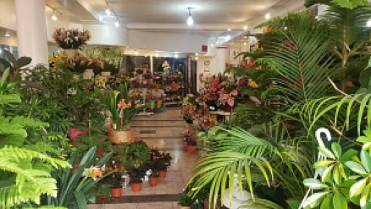 گلفروشی رُز (موسسه کشاورزی رُز)