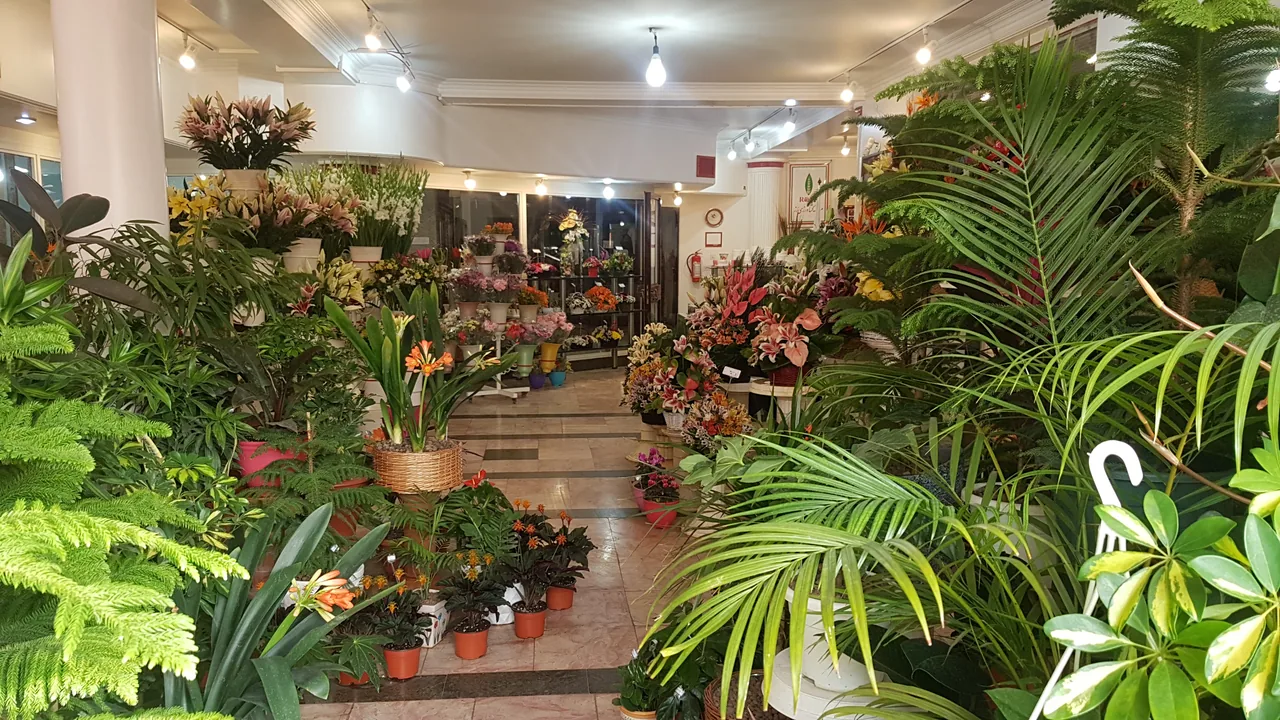 گلفروشی رُز (موسسه کشاورزی رُز)