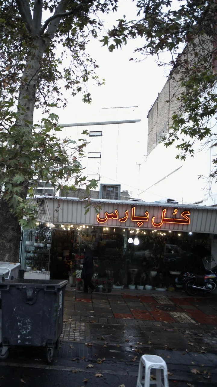 گل پارس - تصویر 2
