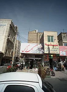 گل نرگس