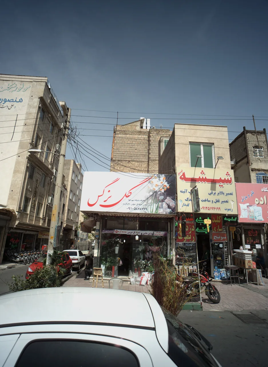 گل نرگس