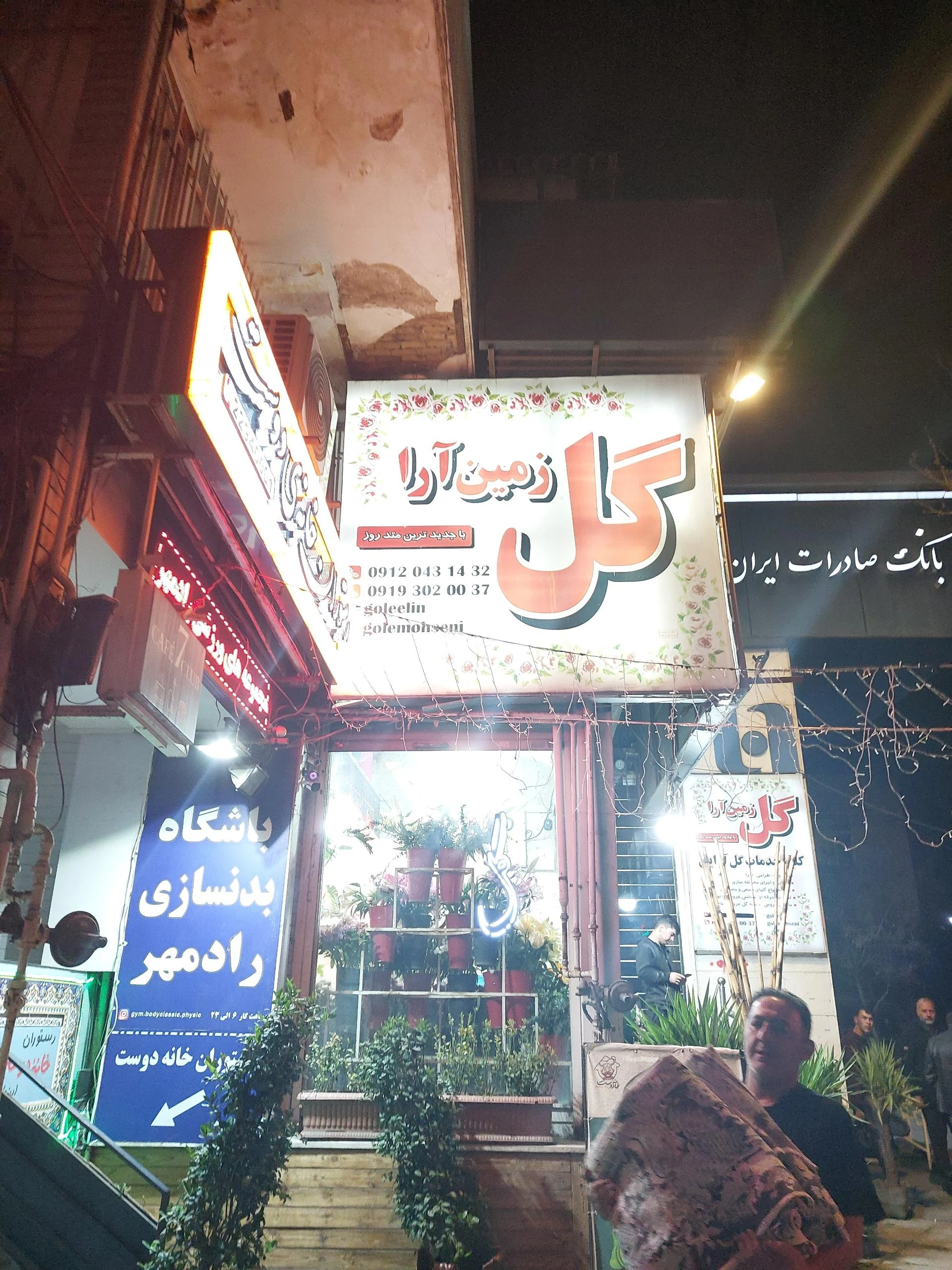 گل ژمینو