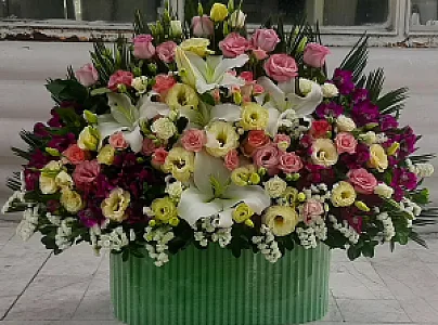 گلفروشی ارکیده
