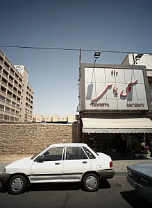 گل یاس
