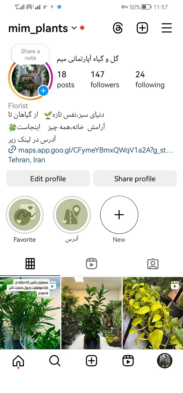 گل و گیاه آپارتمانی میم