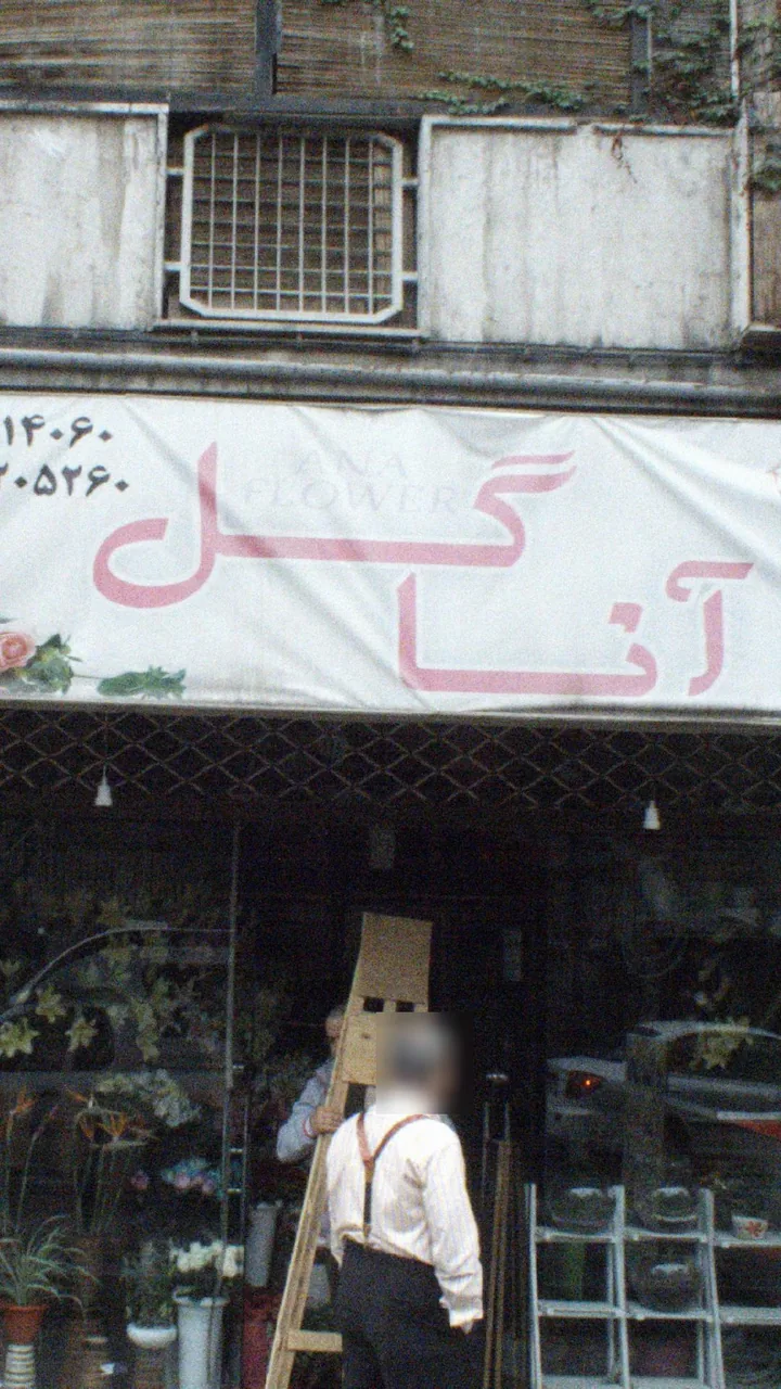 آنا گل