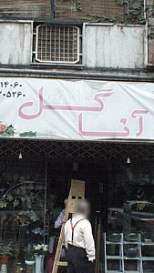 آنا گل