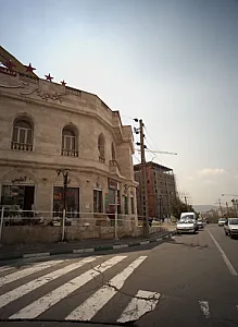 گل آملیس