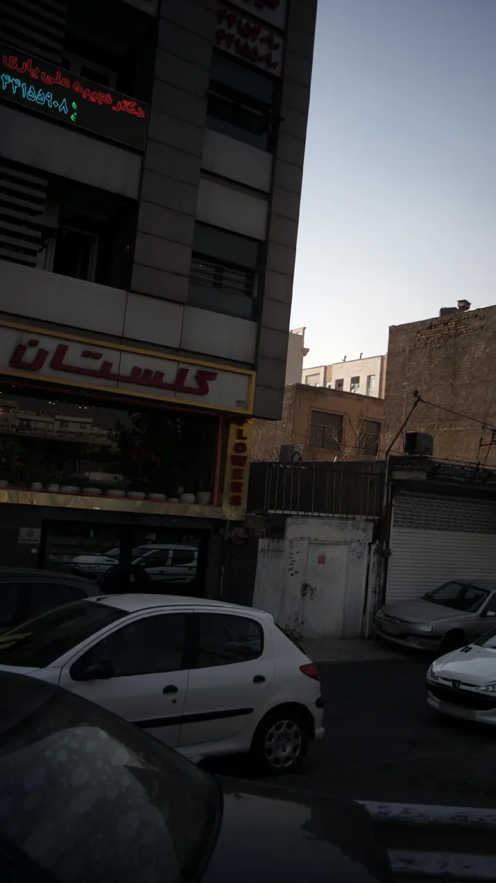 گلستان مینیاتور