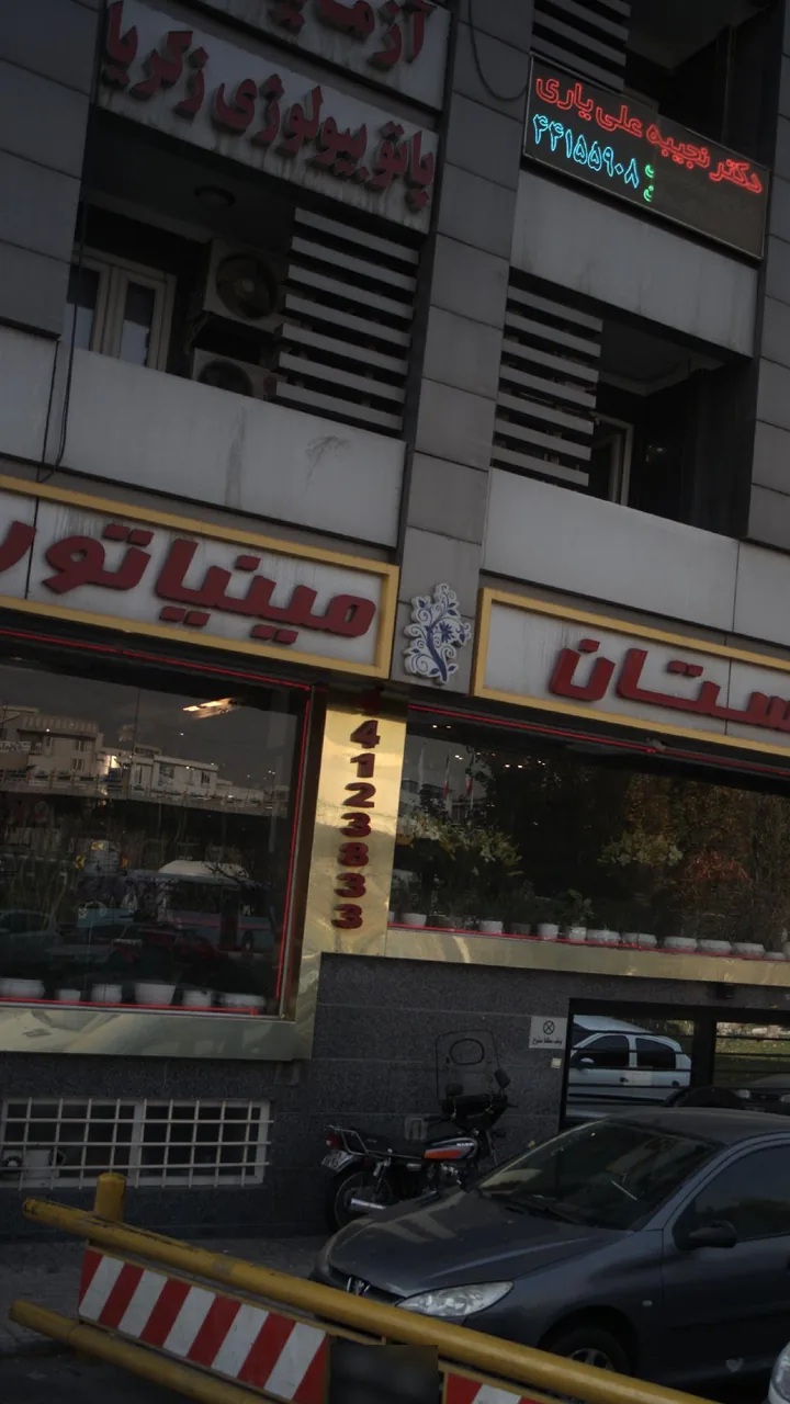 گلستان مینیاتور - تصویر 2