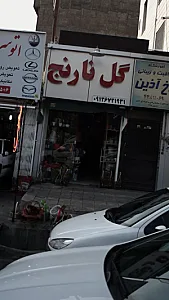 گل نارنج