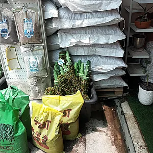 غرفه ۲۵ بازار گل بابایی خاک وسم گیاهان
