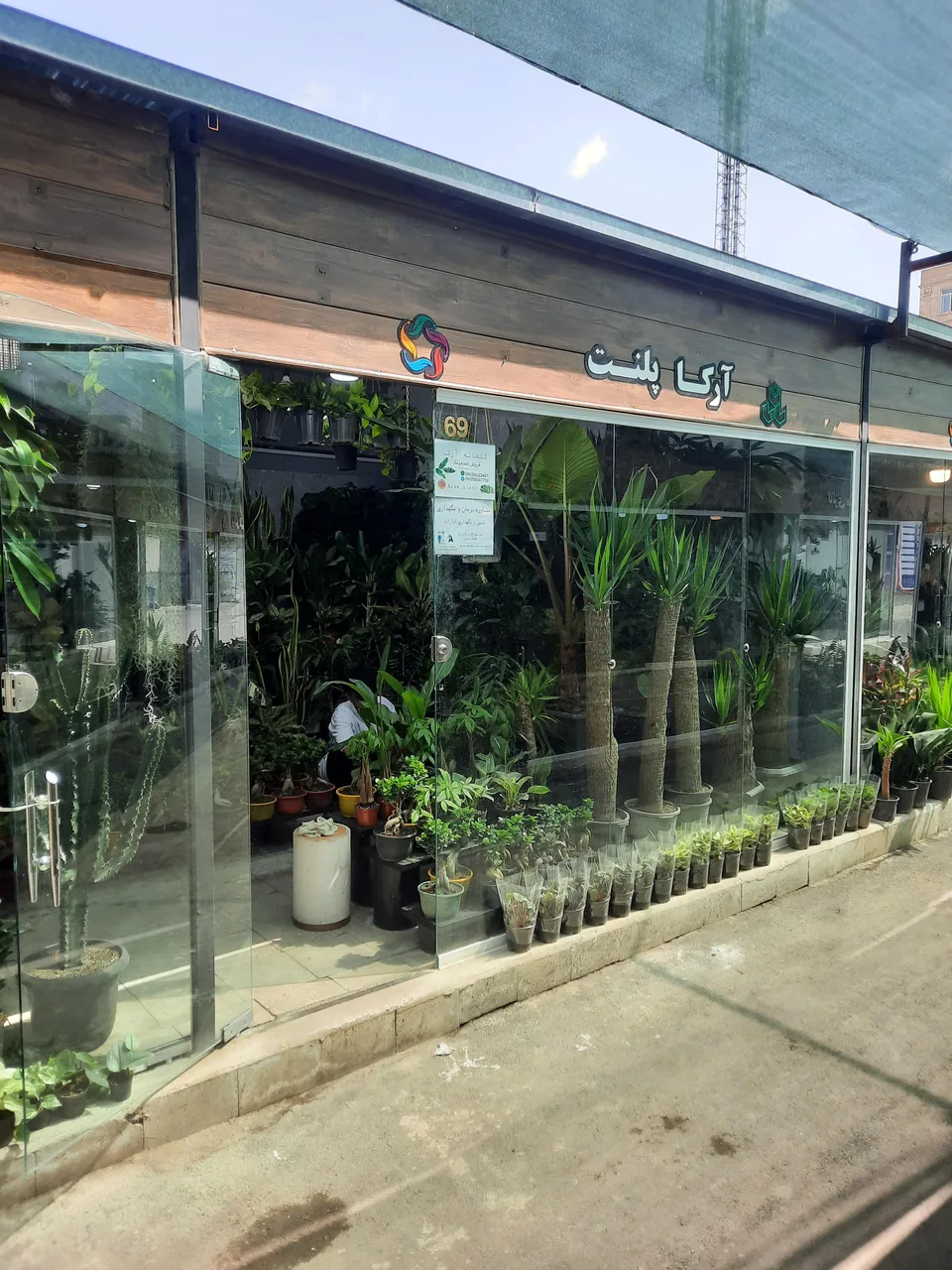 گل و گیاه تیدا - تصویر 3