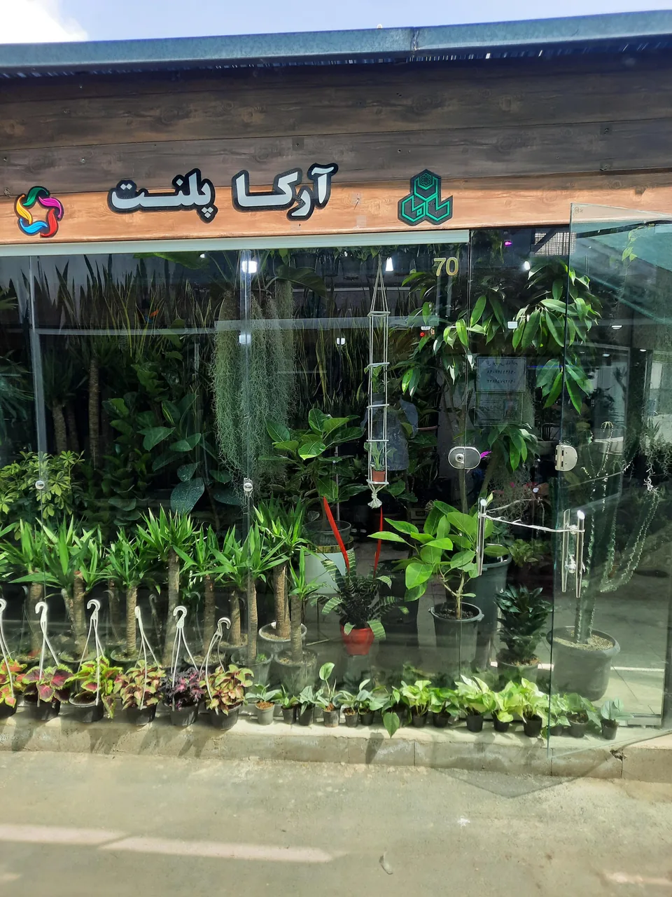 گل و گیاه تیدا - تصویر 4