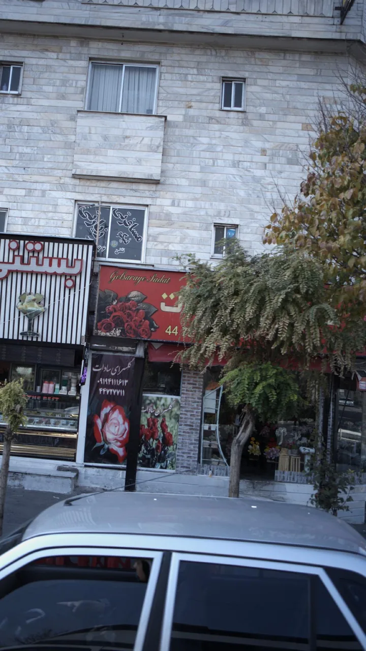 گلسرای سادات - تصویر 2