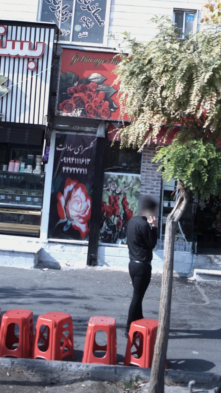 گلسرای سادات - تصویر 3