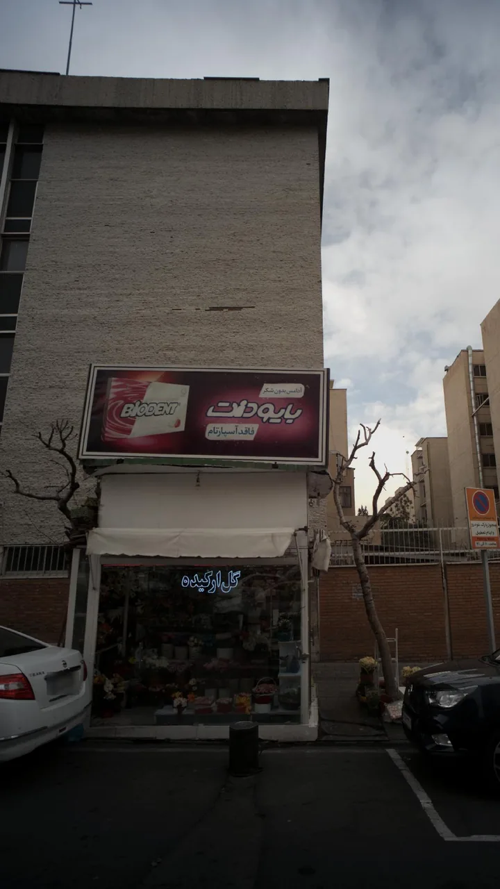 گل ارکیده
