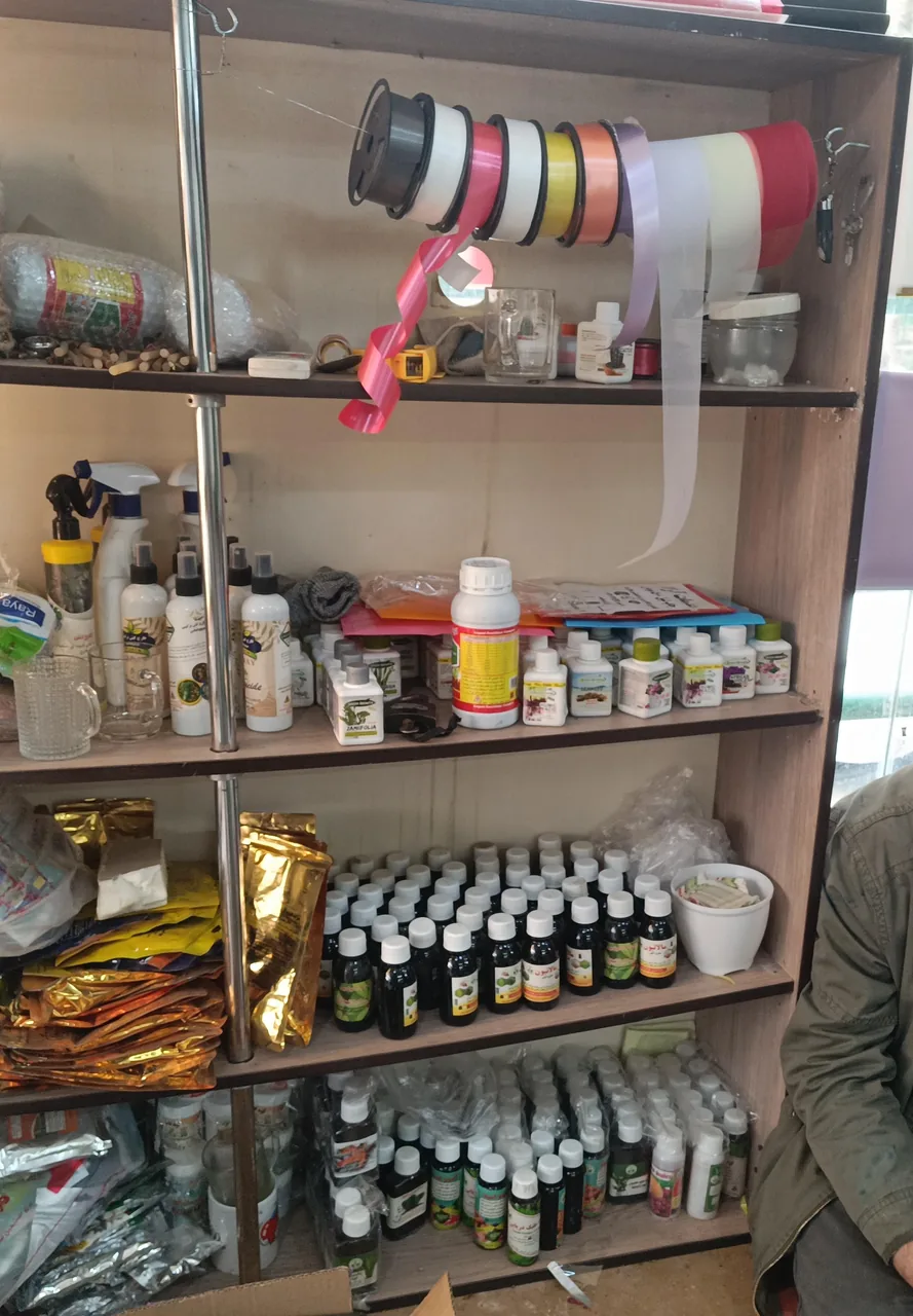 گل فروشی تره بار مجیدیه - تصویر 3