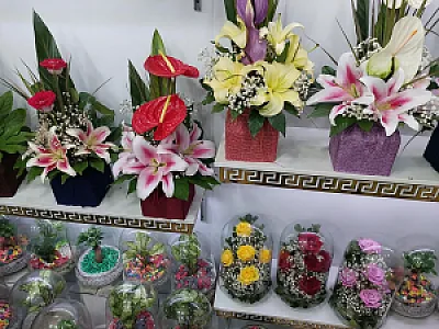 گل فروشی آزالیا
