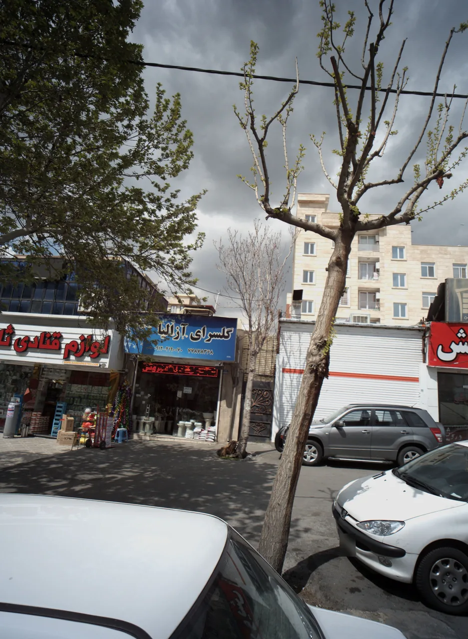 گل فروشی آزالیا - تصویر 4