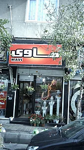 گل ماوی